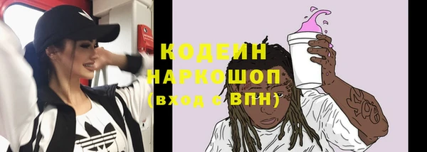 метадон Няндома