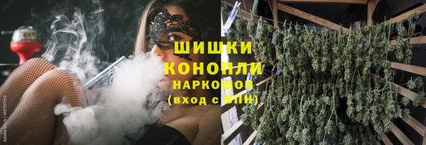 трава Новодвинск