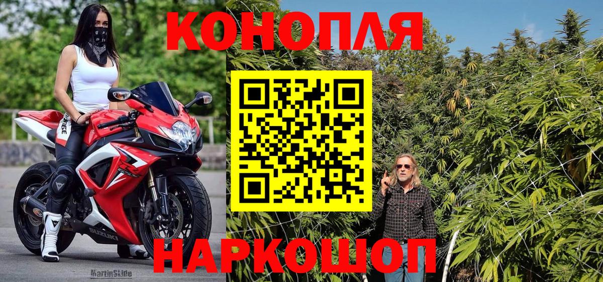 Каннабис OG Kush Коркино